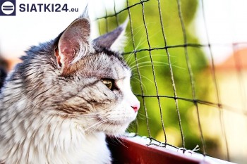 Siatki Mińsk Mazowiecki - Siatka na balkony dla kota i zabezpieczenie dzieci dla terenów Mińska Mazowieckiego
