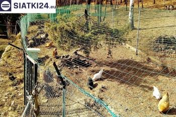 Siatki Mińsk Mazowiecki - Siatka na woliery - zabezpieczenia ptaków w hodowli dla terenów Mińska Mazowieckiego
